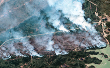 Les feux de forêt détériorent la qualité de l'air à des milliers de kilomètres, selon l'ONU