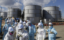 Après Fukushima, 10.000 cancers de plus attendus au Japon, selon des ONG