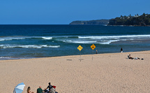 Un surfeur tué par un "grand requin" en Australie