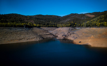 La sécheresse en Europe et sur le pourtour méditerranéen a continué à battre des records mi-août