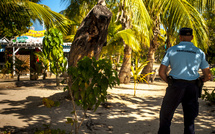 Deux morts et quatre blessés dans une fusillade en Martinique