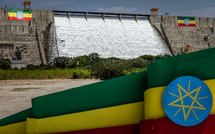 L'Ethiopie, après 14 ans de travaux, inaugure le plus grand barrage d'Afrique