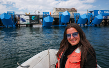 Produire de l'électricité grâce aux vagues, un rêve qui devient réalité à Los Angeles