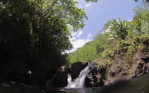 Fermeture exceptionnelle du parc de Te Faaiti jusqu’au 20 mars