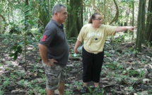 Vallée de Opunohu : bientôt un parcours ethno-botanique 