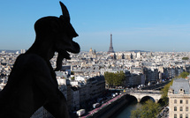 Retour dans les tours de Notre-Dame