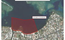 Pirae interdit la baignade aux embouchures des rivières