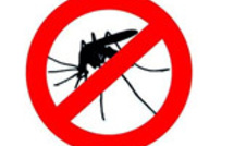Stop aux piqûres de moustiques