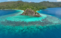 Indonésie: les coraux de Raja Ampat menacés par les mines de nickel, selon des ONG