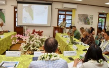 Arue, une ville aux multiples projets