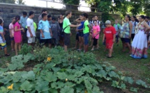 Point d’orgue du Tōta Tour, vendredi à partir de 18h30