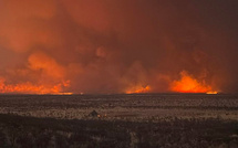 Le gigantesque feu en Namibie est "contenu" d'après le gouvernement