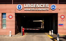 Cas mortel de la rage à Perpignan, le premier en métropole depuis 2023