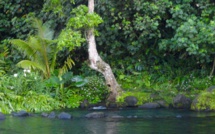 Journée internationale de l’eau: Respectez, aimez, protégez!