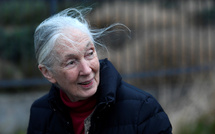 La célèbre primatologue Jane Goodall est morte