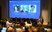 Le Nobel de médecine récompense la découverte des "gardiens du système immunitaire"