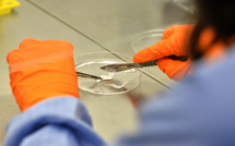 De nouvelles flambées de dysenterie sont à craindre