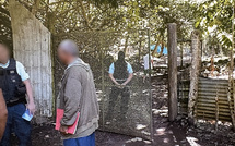 Le ras-le-bol d'un apiculteur de Paea