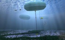 Energies propres: L'Australie va investir 679 millions d'euros dans l'innovation