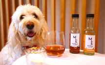 Nouvelle-Zélande: du vin sans alcool pour animaux, une idée qui a du chien