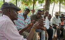 À La Réunion, la canne à sucre en perte de vitesse malgré un soutien public massif