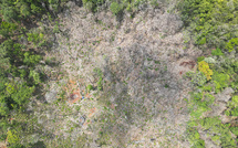 Bruxelles veut élaguer sa loi contre la déforestation, enlisée dans les reports