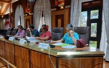 Autosaisine sur les violences intrafamiliales