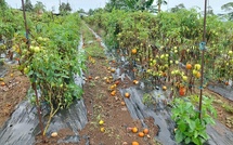 Le Pays à la rescousse du secteur primaire en cas de catastrophe naturelle