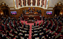 Le Sénat craint un rendez-vous manqué sur le projet de loi contre la "vie chère"