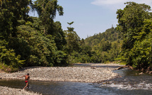 La moitié des peuples autochtones coupés du monde menacés de disparition dans les dix ans, selon une ONG