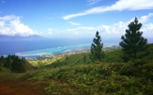 Punaauia : La randonnée de Vaitavere bientôt interdite au public?