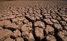 Agriculture: 1,7 milliard de personnes touchées par la dégradation des terres, selon la FAO