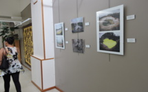 Les paysages maoris vus par les Mao’hi