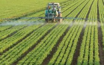 Sans pesticides, le problème des impasses technologiques sur les cultures