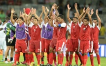 Zika en Amériques : et si la Polynésie française n'y était pour rien ?