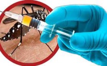 Dengue: Sanofi lance une campagne de vaccination de masse aux Philippines, une première mondiale