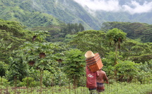 Thomas Moutame et la Chambre d’agriculture mis à mal par la CTC