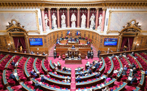 Allocations chômage, prestations sociales, formation... Le Sénat se divise sur des mesures anti-fraudeurs
