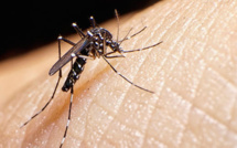Vietnam: découverte de deux premiers cas d'infection du virus Zika
