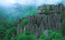 La moitié des sites naturels classés par l'Unesco menacée