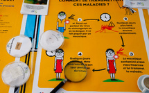 Santé: l'épidémie de chikungunya s'achève en métropole