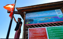 A La Réunion, après la crise requin, le surf reprend des couleurs