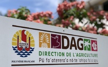 La DAG sous pression syndicale et juridique