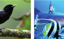 Vous avez un projet pour préserver la biodiversité ? 