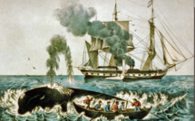La chasse à la baleine - A bord d’un baleinier des mers du sud en 1840