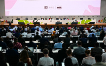 En Amazonie, le monde se contente d'une preuve de vie de la coopération climatique