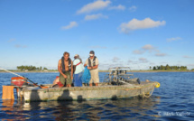 Très peu de récifs préservés dans nos eaux (étude)