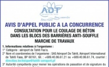 L'AÉROPORT DE TAHITI LANCE UN AVIS D'APPEL PUBLIC A LA CONCURRENCE : CONSULTATION POUR LE COULAGE DE BÉTON DANS LES BLOCS DES BARRIÈRES ANTI-SOUFFLE MARCHE DE TRAVAUX