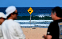 Une attaque de requin fait un mort et un blessé en Australie