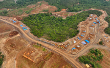 Indonésie: comment la déforestation a aggravé les inondations